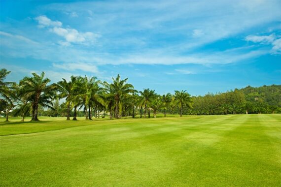 Parcours de Golf des Palmiers