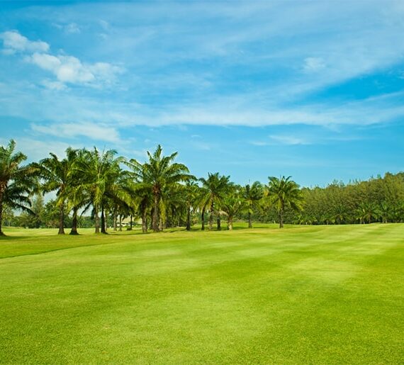 Parcours de Golf des Palmiers